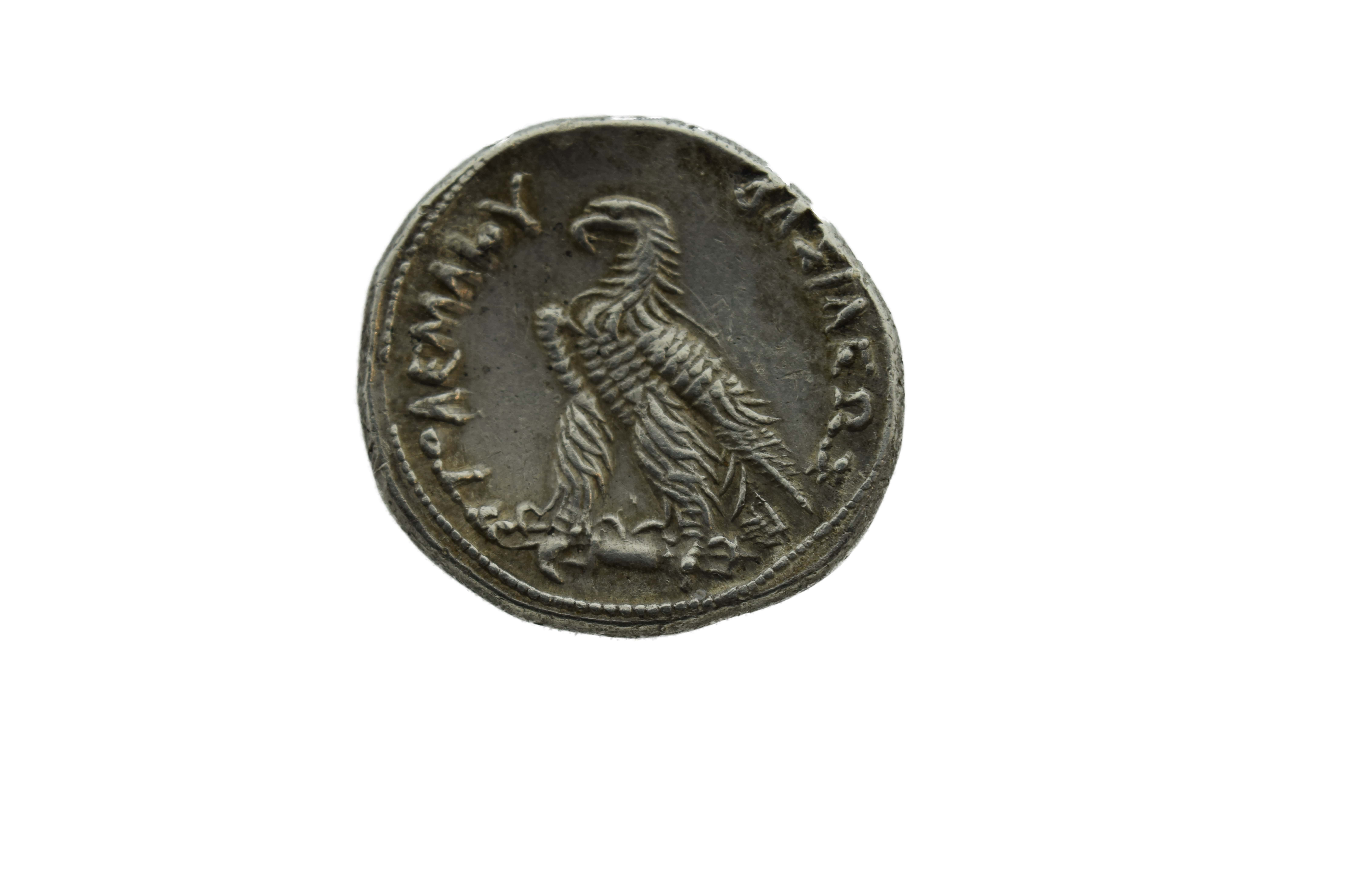 Griekse munt - Ptolemaeus VI Philometor 180-145 v Chr. 